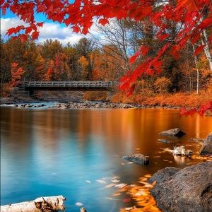 Meet your Posher, Lynnette